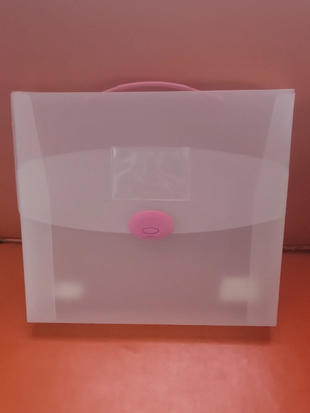 Pink-Accent Clear Plastic Document Organizer